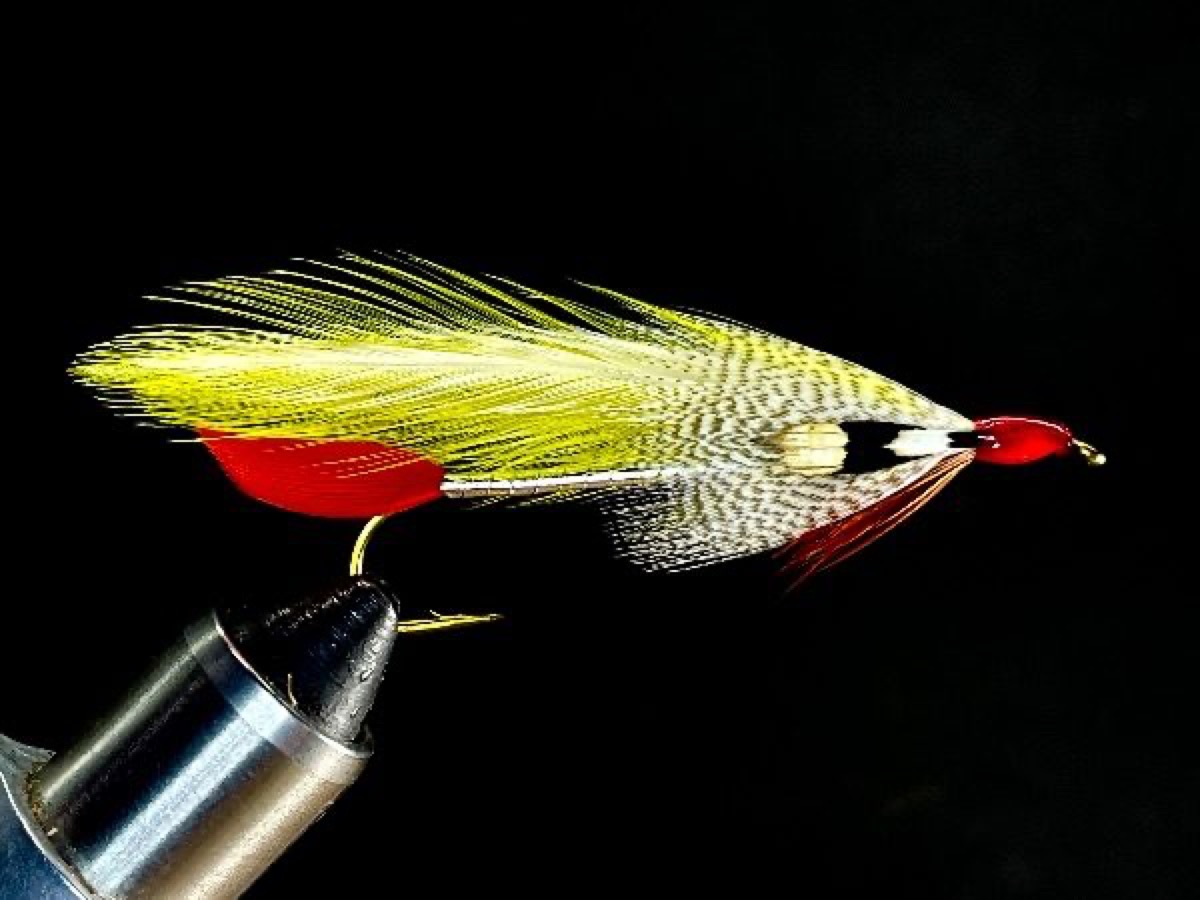Colonel Bates fly pattern tied by Brent Jones