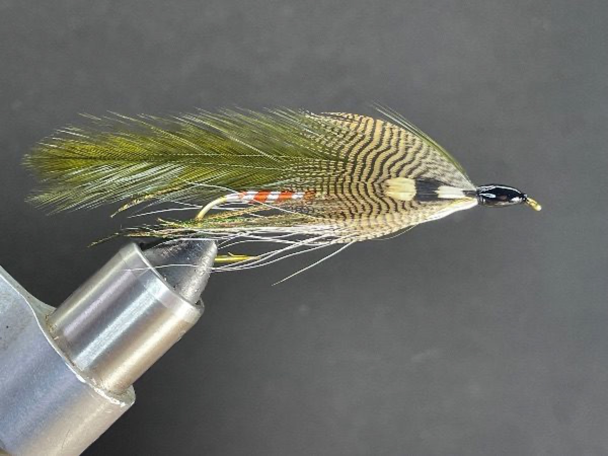 Green Beauty fly pattern tied by Brent Jones