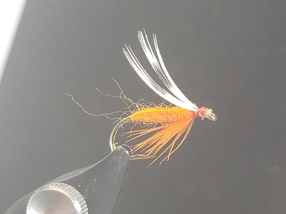 The Wilson Fly fly pattern tied by Darrell Olson
