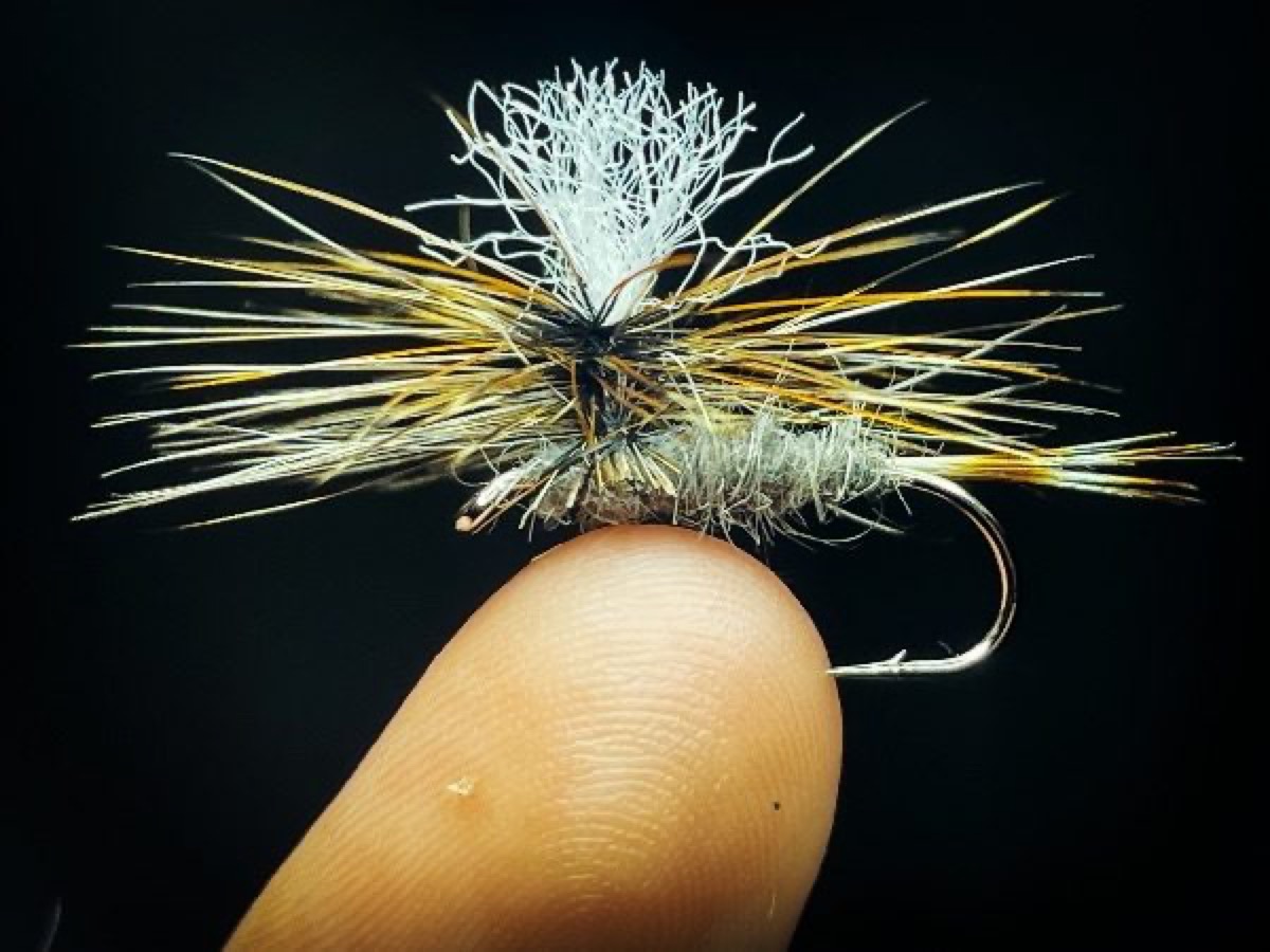 Parachute Adams fly pattern tied by Blake Glover