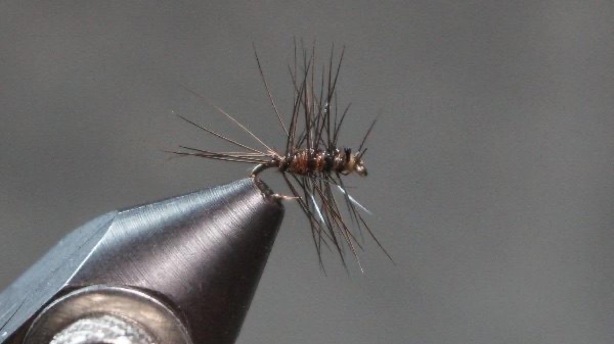 Tiny Blue-Winged Olive Dry Wooly fly pattern tied by Christian Andrews