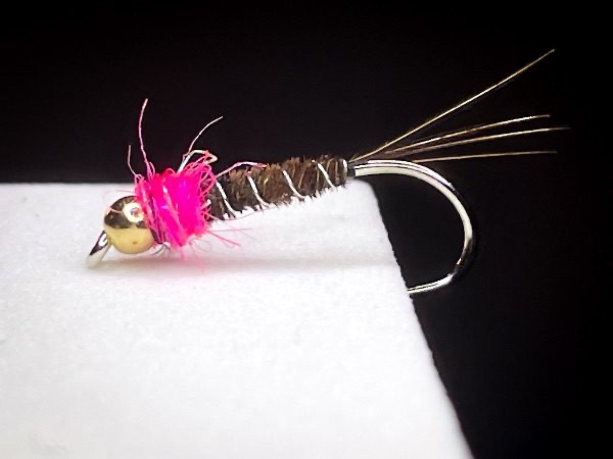 Frenchie fly pattern tied by Blake Glover