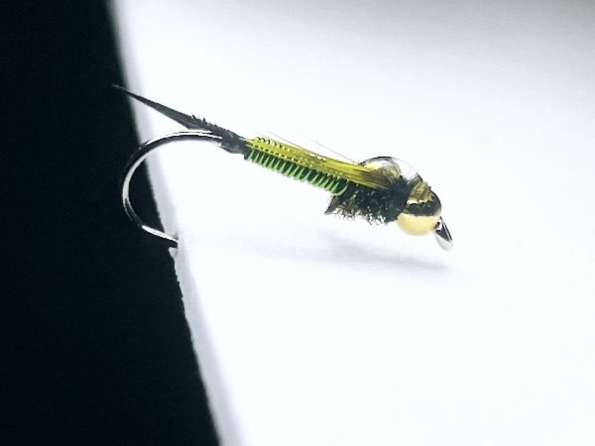 Copper Johns fly pattern tied by Blake Glover