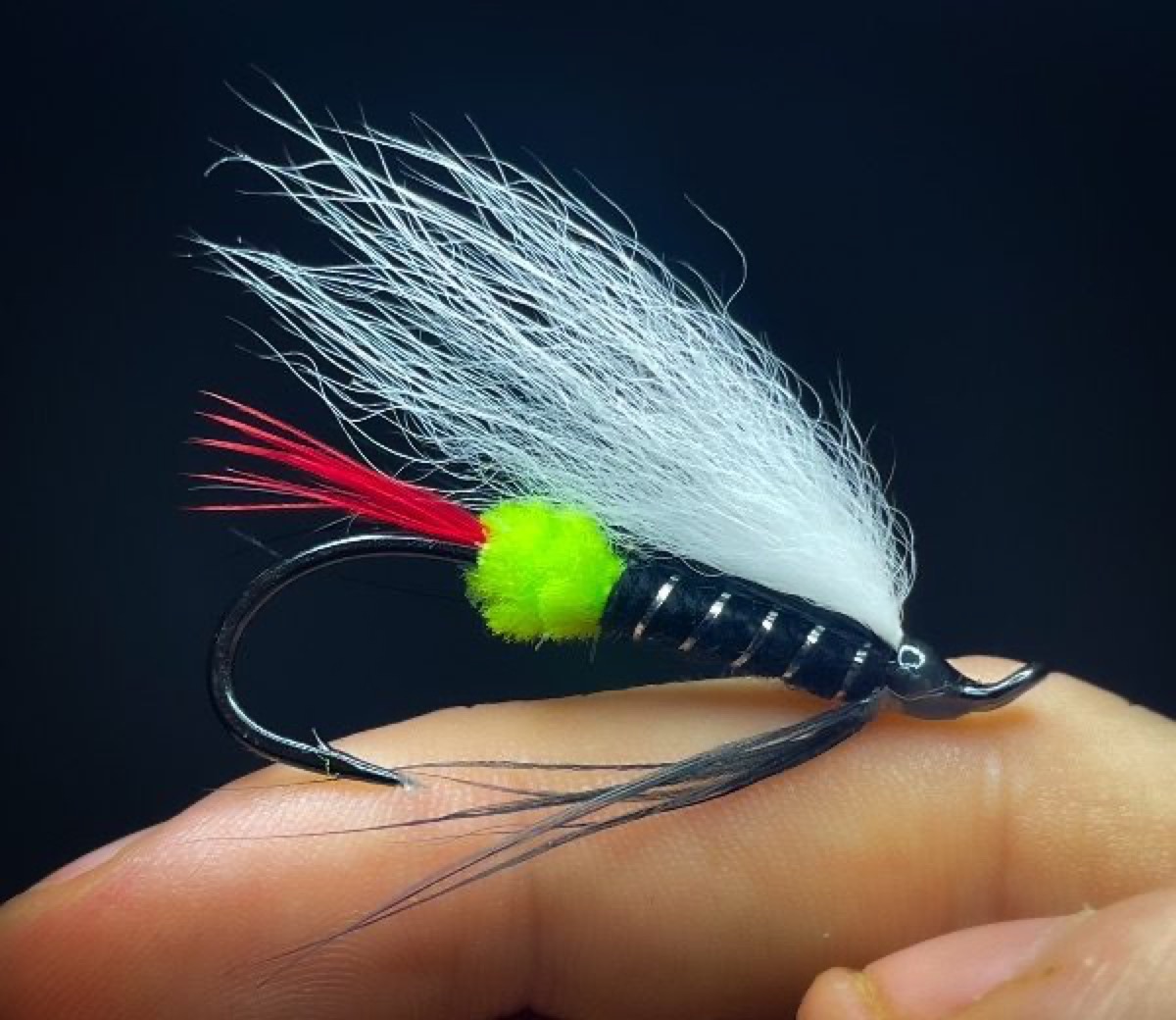 Classic salmon hairwing fly pattern tied by Blake Glover