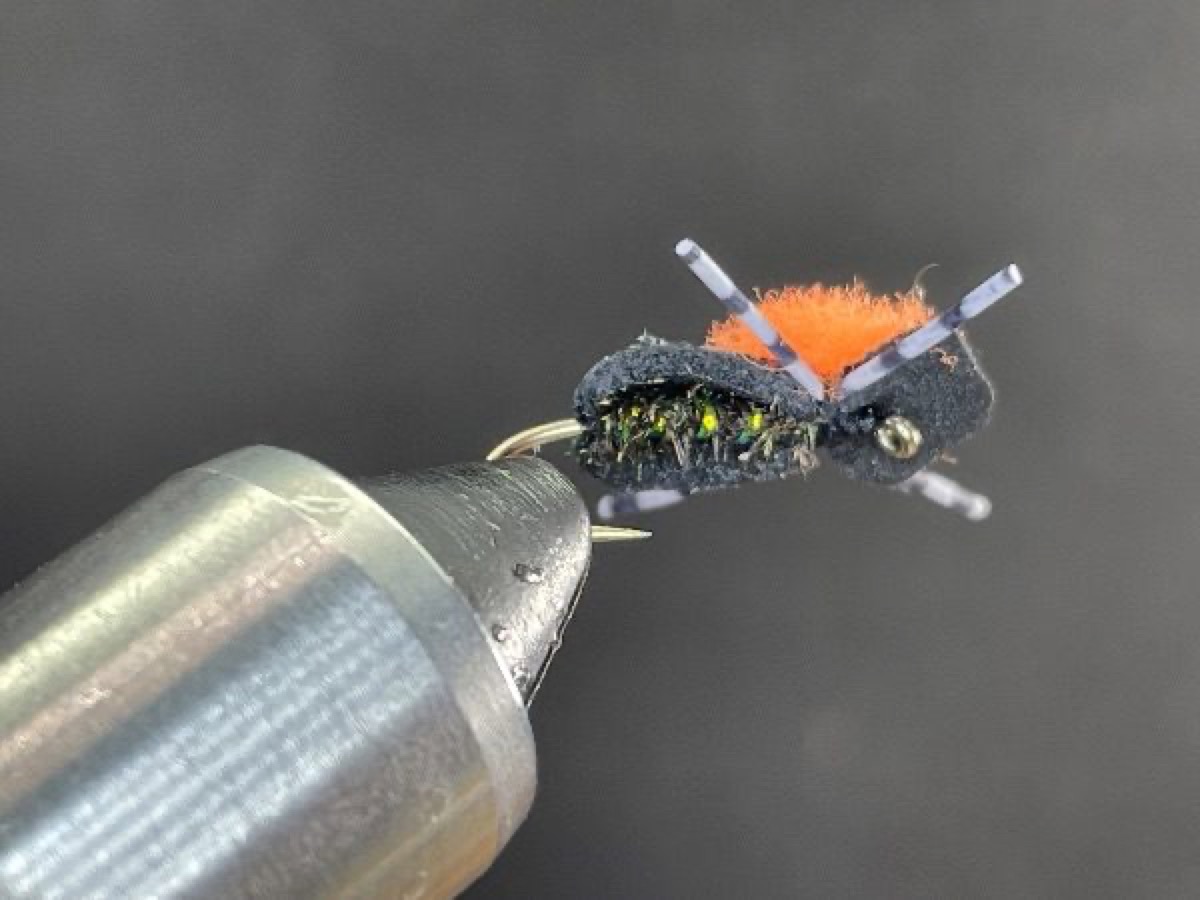 Foam Beetle fly pattern tied by Brent Jones