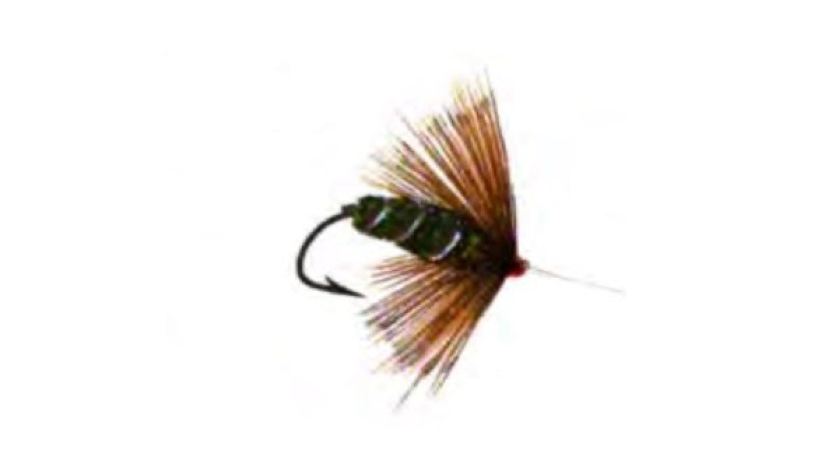 Coch-y-Bonddu fly pattern tied by Christian Andrews