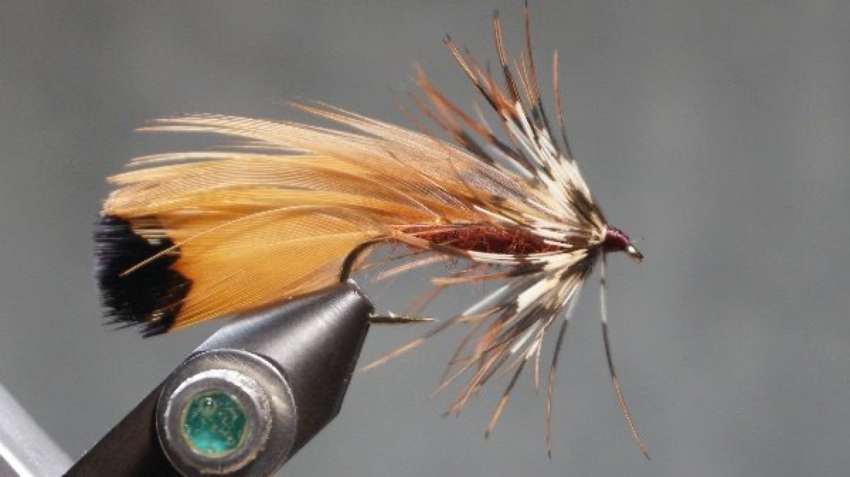 “Pheasant" Matuka fly pattern tied by Christian Andrews