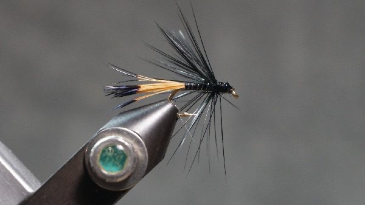 Black Pennell fly pattern tied by Christian Andrews