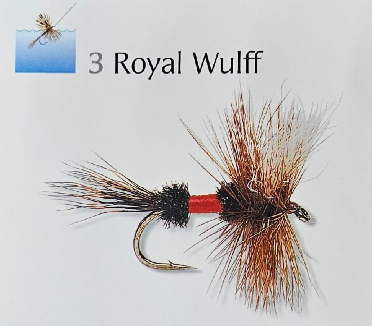 Royal Wulff fly pattern tied by Will Arrant