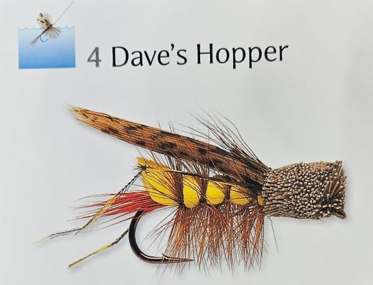 Dave's Hopper fly pattern tied by Will Arrant