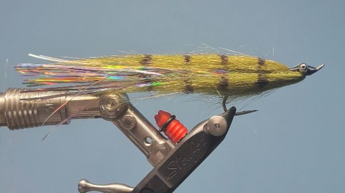 Flash Monkey fly pattern tied by Darrell Olson