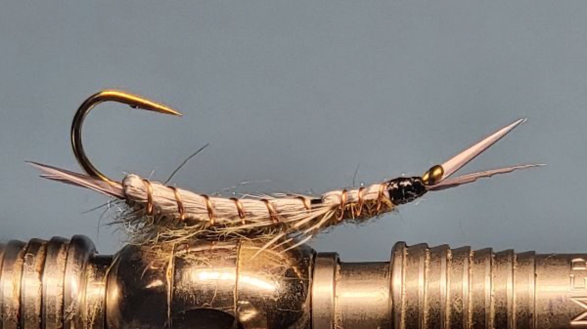 Whitlock's Hellgrammite fly pattern tied by Darrell Olson