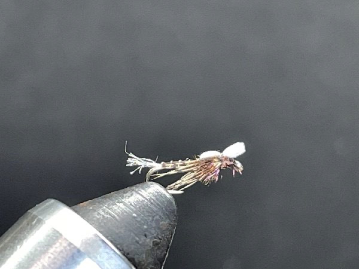 Mayhem Midge fly pattern tied by Brent Jones