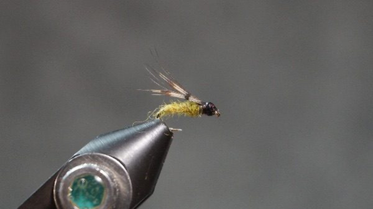 Blue-winged Olive Emerger fly pattern tied by Christian Andrews