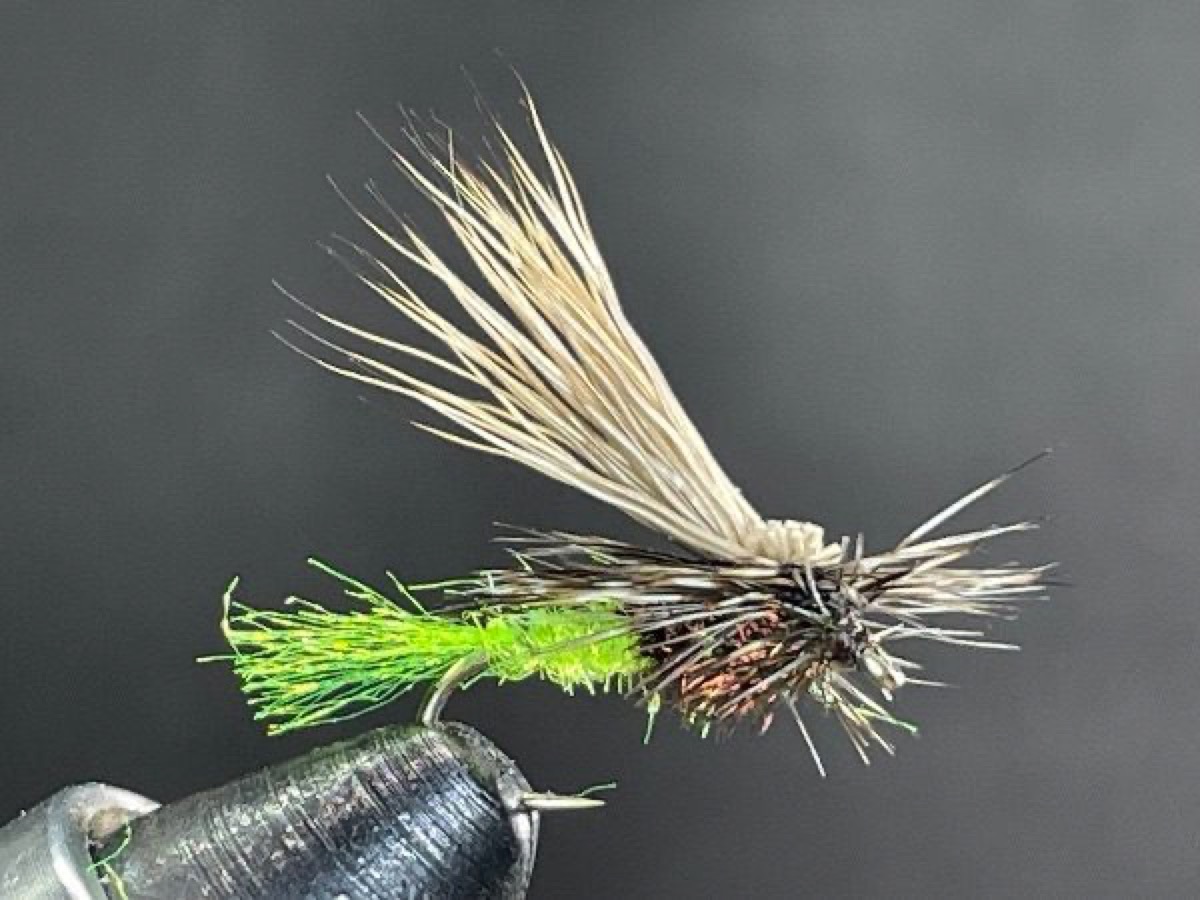 Chartreuse Tilt Wing fly pattern tied by Brent Jones