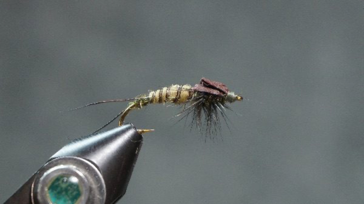“Golden” Stonefly Nymph fly pattern tied by Christian Andrews
