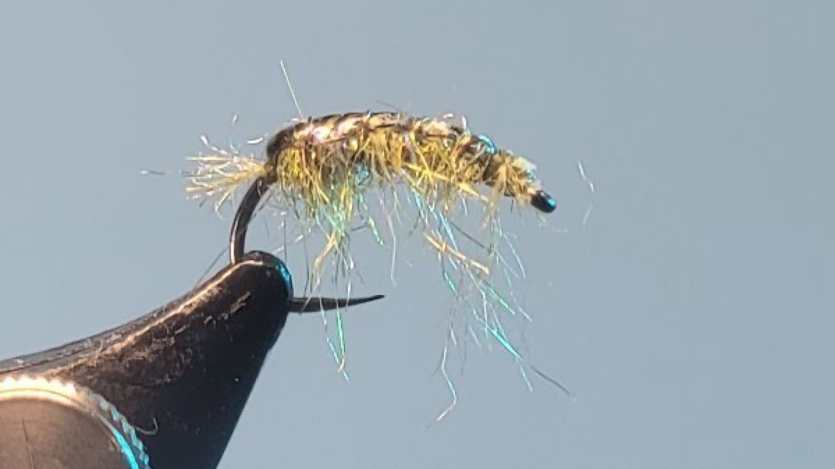 Black Pennell fly pattern tied by Brent Jones