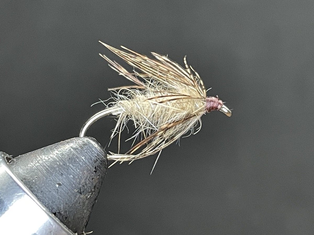 Hares Ear Soft Hackle fly pattern tied by Brent Jones