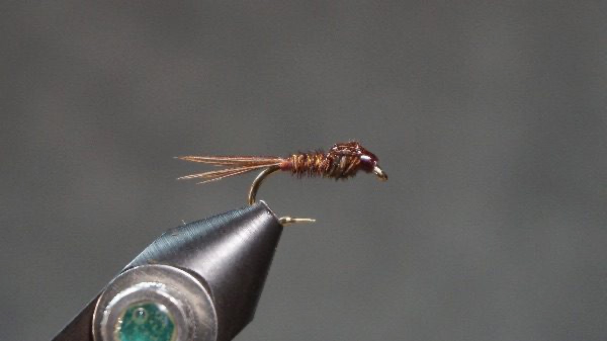 Pheasant Tail Nymph ( a Frank Sawyer fly) fly pattern tied by Christian Andrews