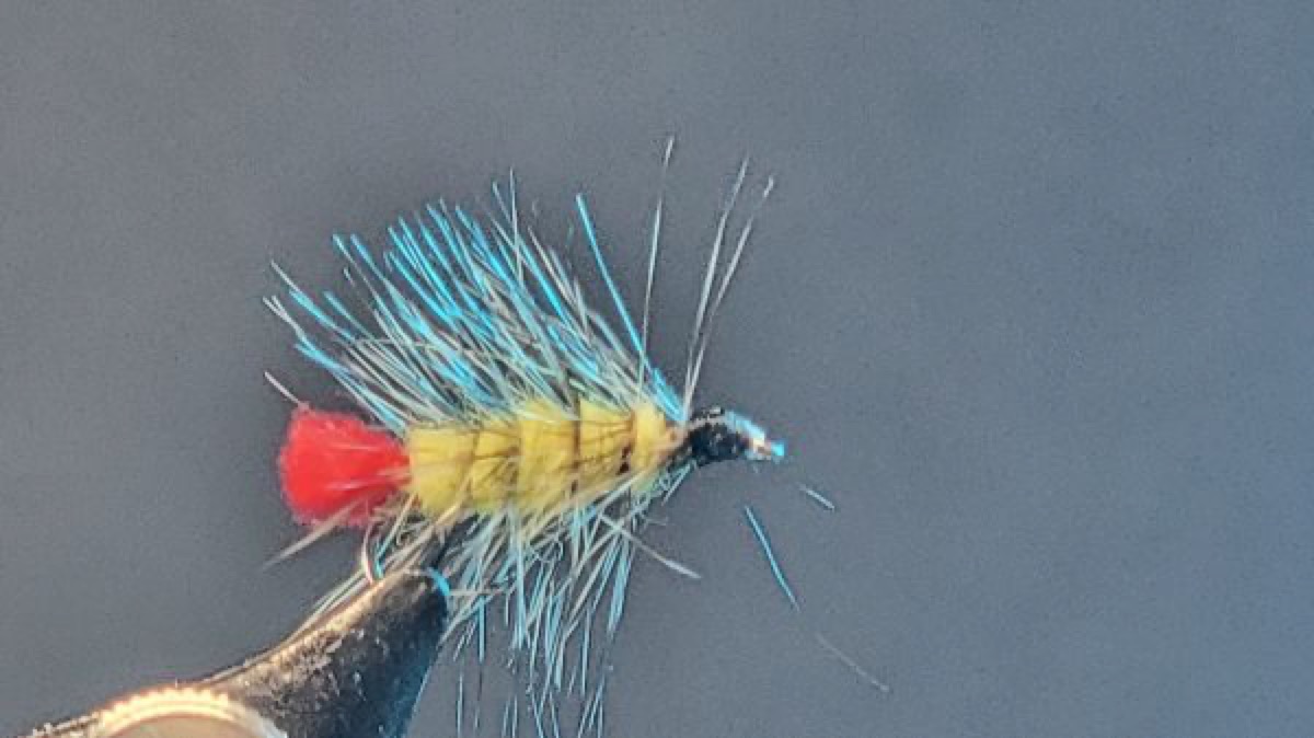 Great Smokey Mountain Woolly Worm fly pattern tied by Darrell Olson