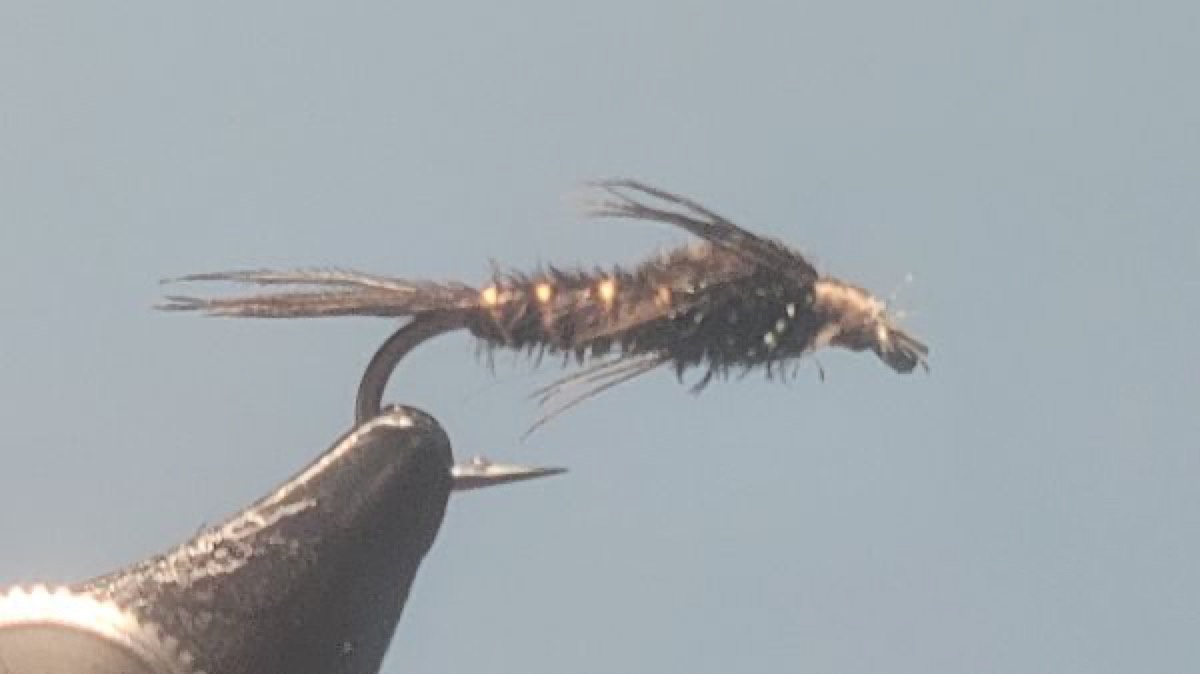 Pheasant Tail Nymph fly pattern tied by Darrell Olson