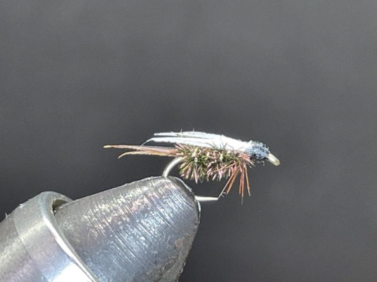 Prince Nymph fly pattern tied by Brent Jones