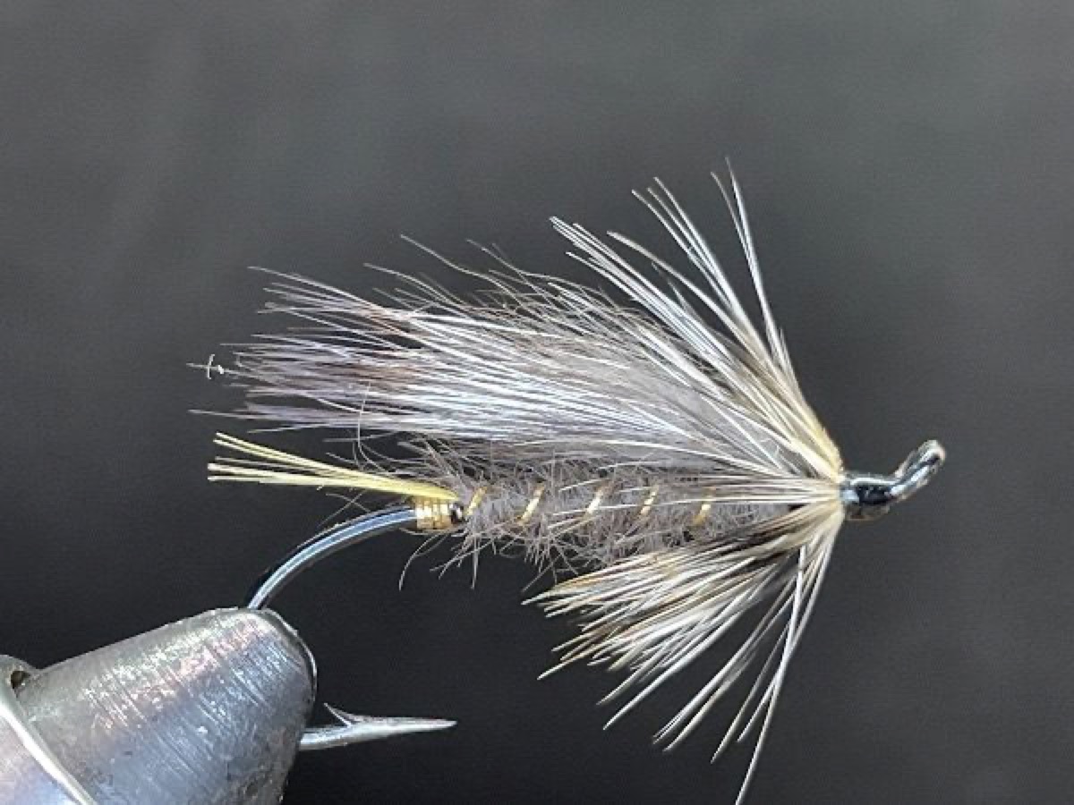 Grey RAT fly pattern tied by Brent Jones