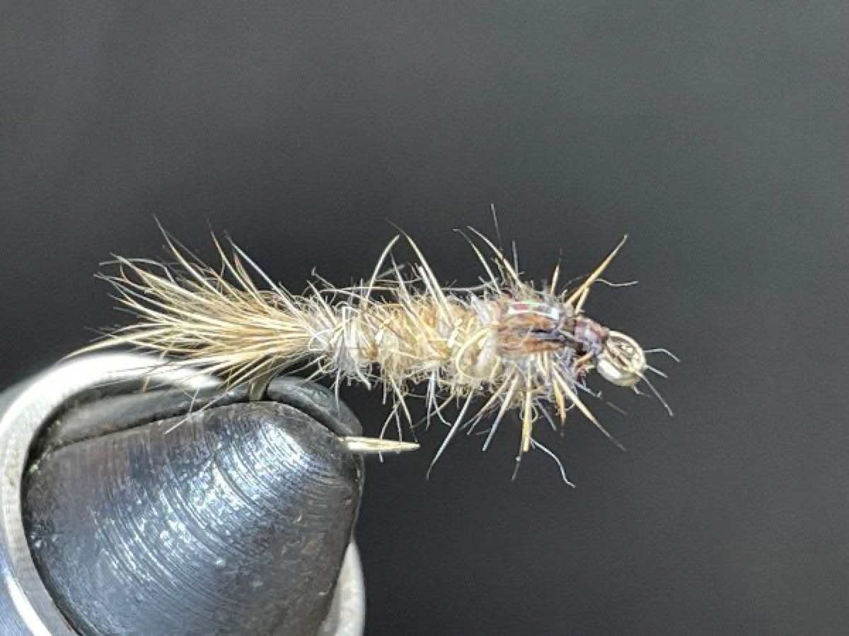 Hares Ear fly pattern tied by Brent Jones