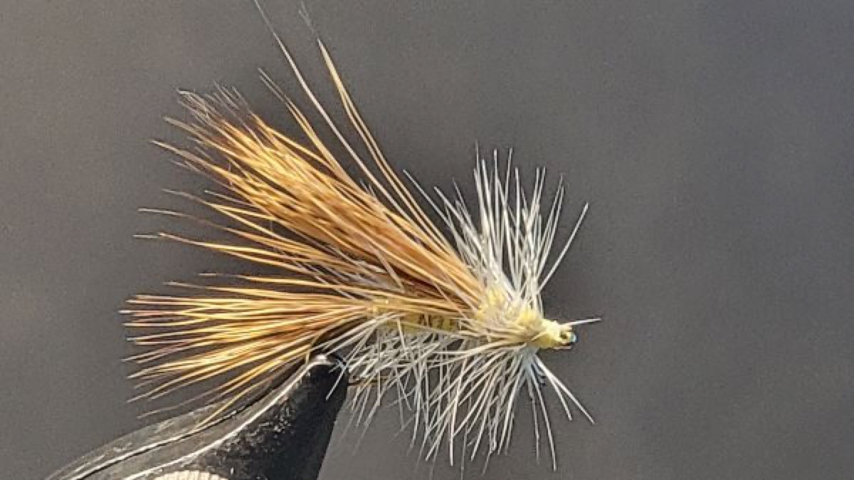 Yellow Stimulator fly pattern tied by Darrell Olson