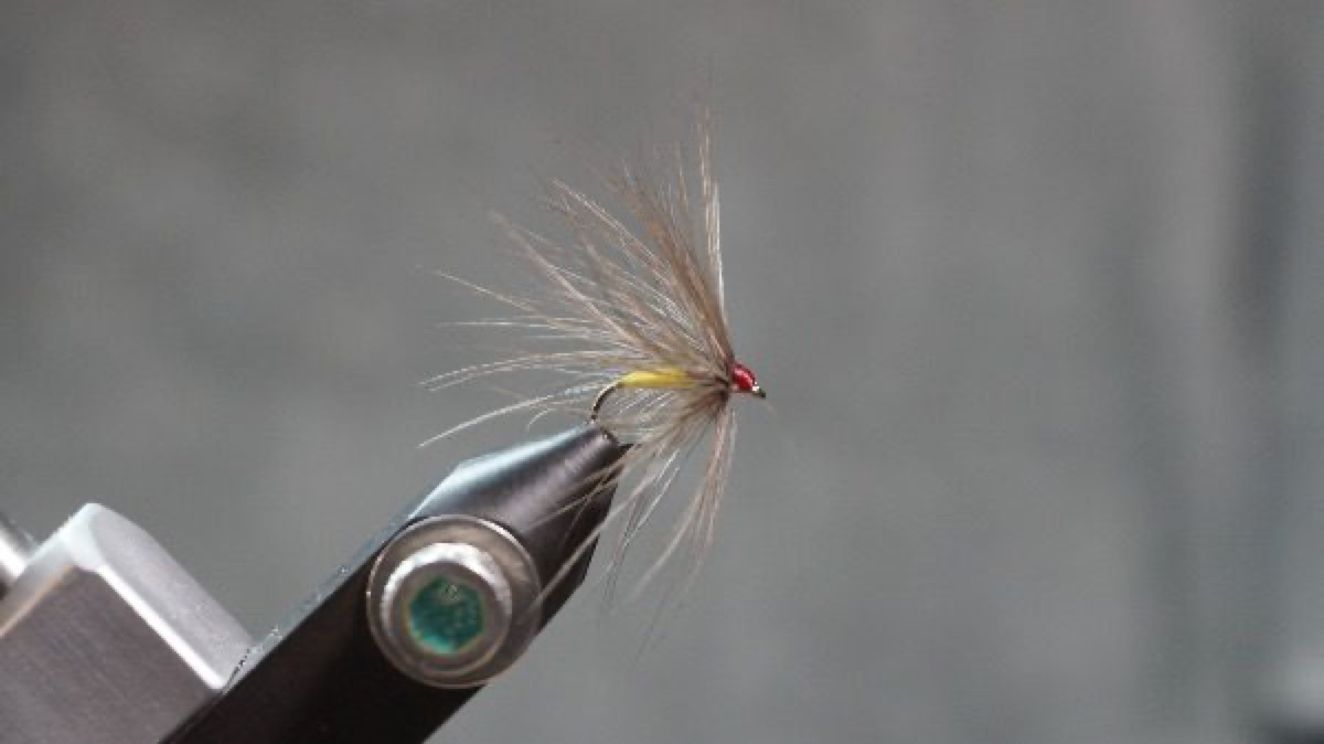 Crane Fly fly pattern tied by Christian Andrews