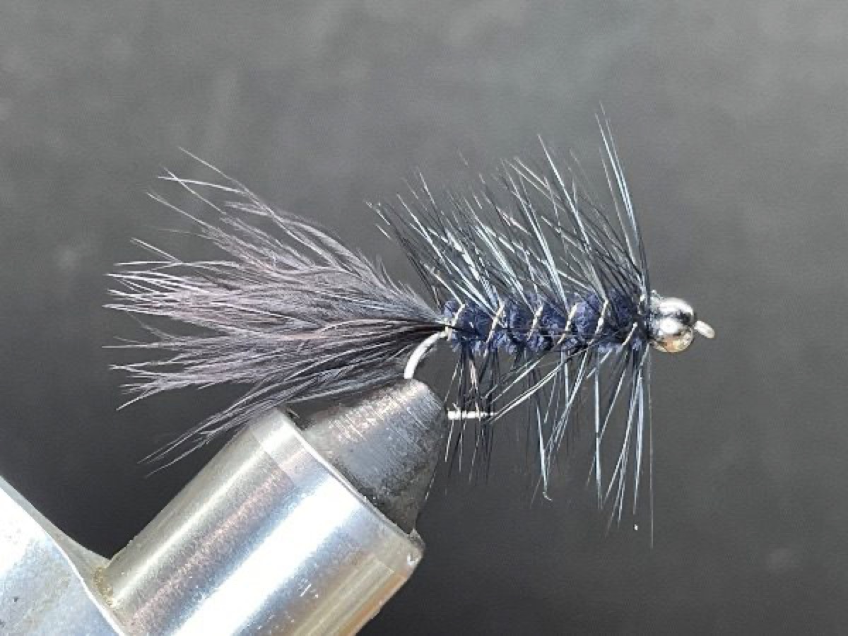 Black Bead Head Woolly Bugger fly pattern tied by Brent Jones