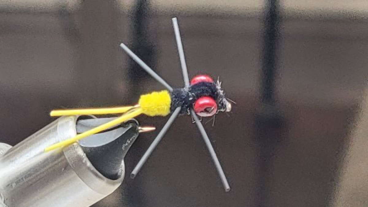 Carter's Weighted Rubber Legs fly pattern tied by Darrell Olson