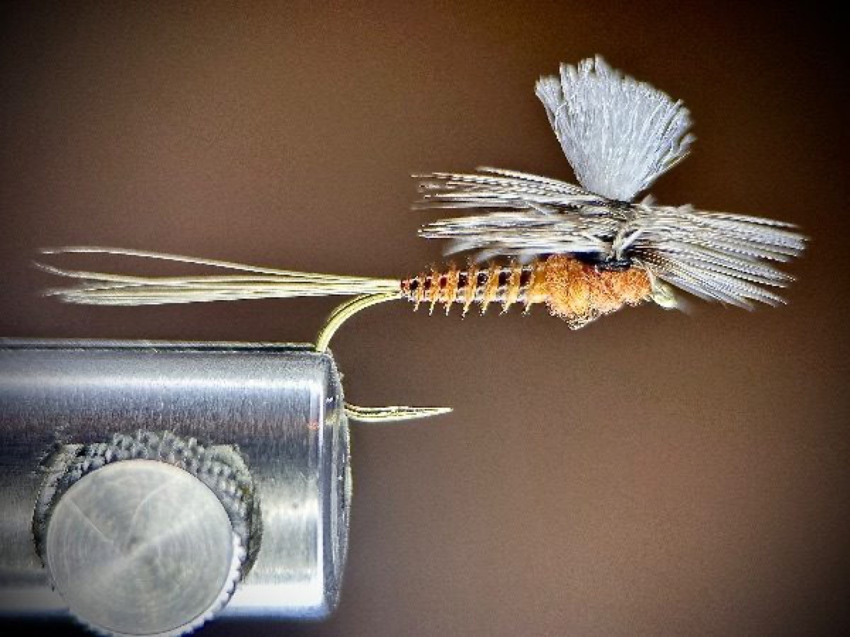 Brown Drake (ish) fly pattern tied by Ryan Storch