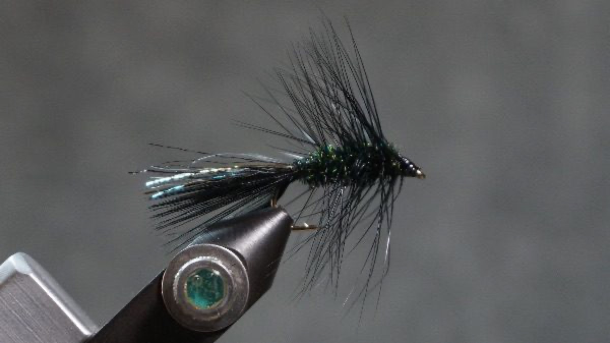 Peacock Herl Wooly Bugger fly pattern tied by Christian Andrews