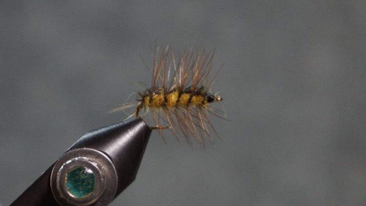 F-C Cracklebadk fly pattern tied by Christian Andrews