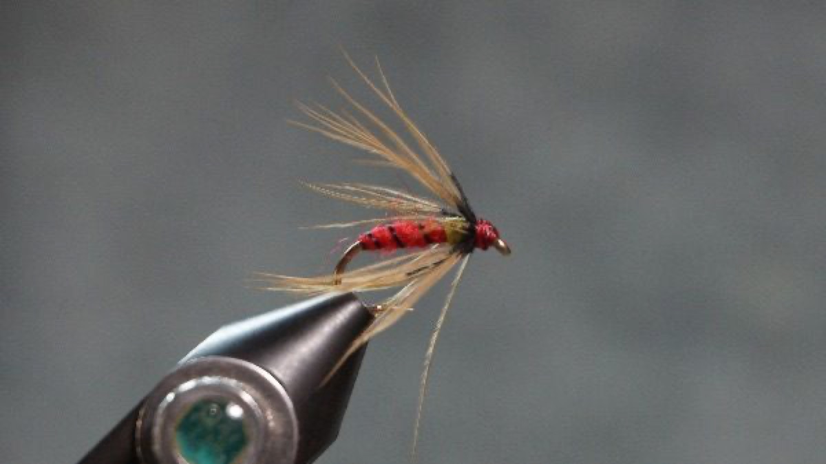 Epting Hackle fly pattern tied by Christian Andrews