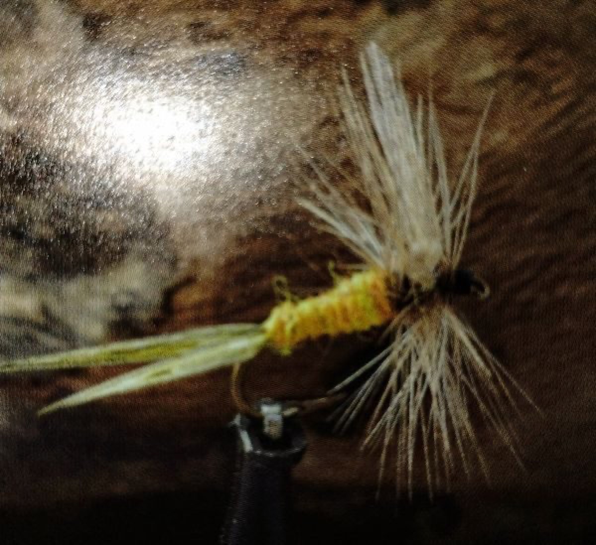 Smokey Mountain Fork Tail fly pattern tied by Shannon Wood