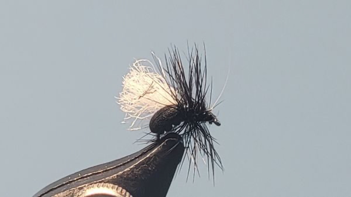 Early Black Caddis fly pattern tied by Darrell Olson