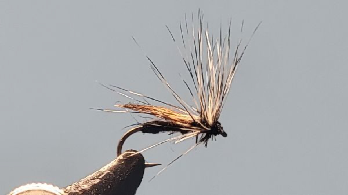 Early Black Stone Fly fly pattern tied by Darrell Olson