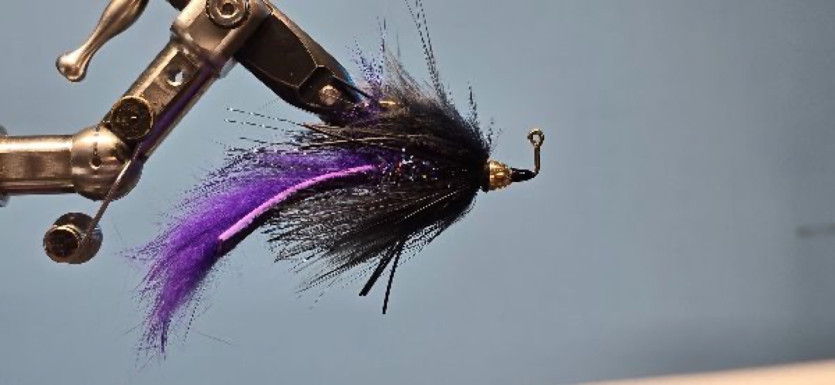 Barr's Meat Whistle - PHWFF - Charleston Verion fly pattern tied by Darrell Olson