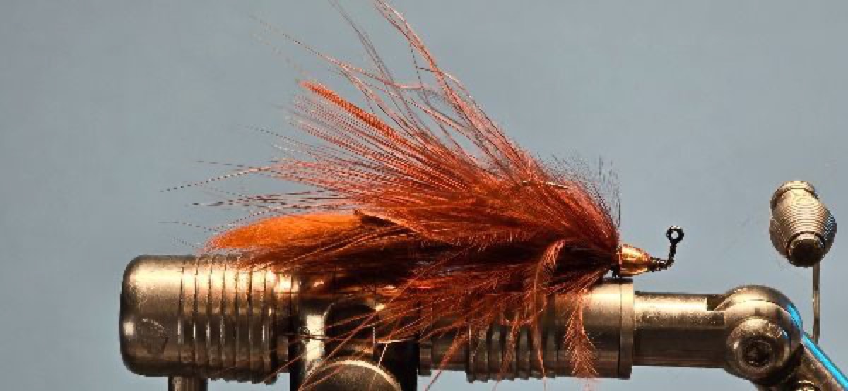 Barr's Meat Whistle fly pattern tied by Darrell Olson