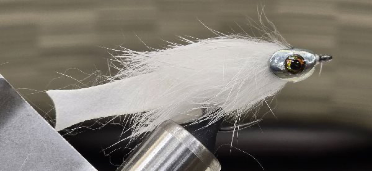 Forage Fly fly pattern tied by Darrell Olson