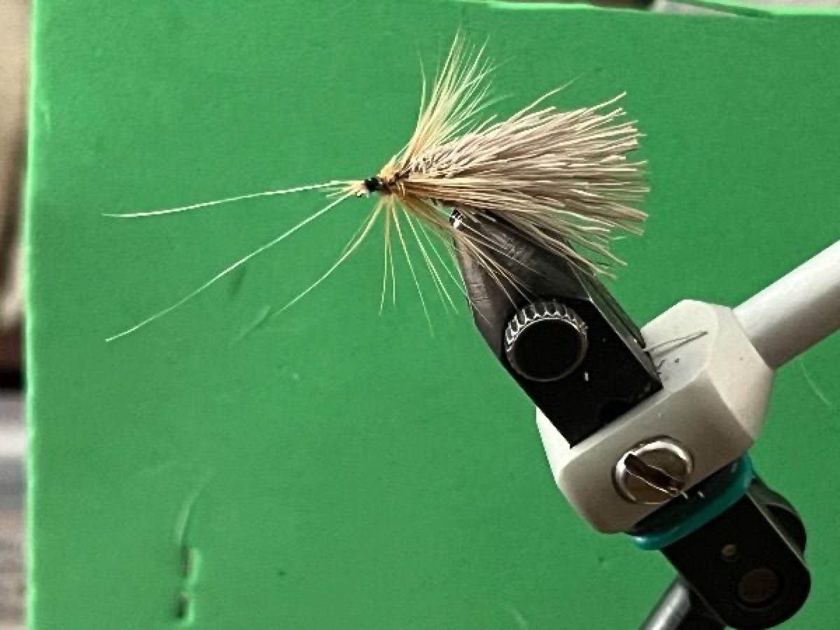 Goddard Caddis fly pattern tied by Michael Terry