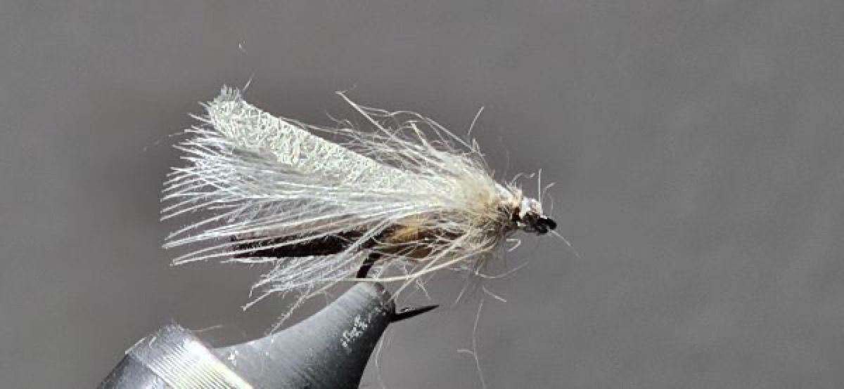 Cream Caddis fly pattern tied by Darrell Olson