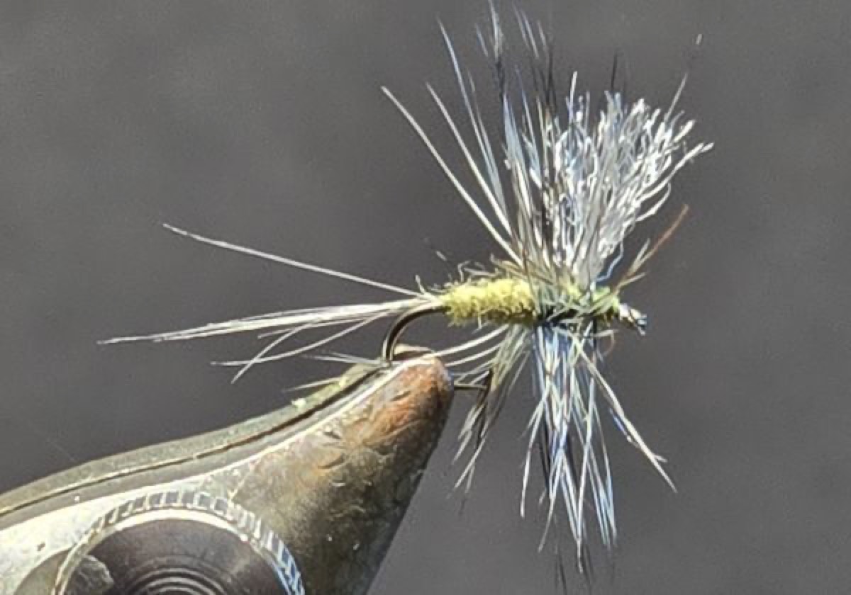 Itsy Bitsy Blue Dun fly pattern tied by Darrell Olson