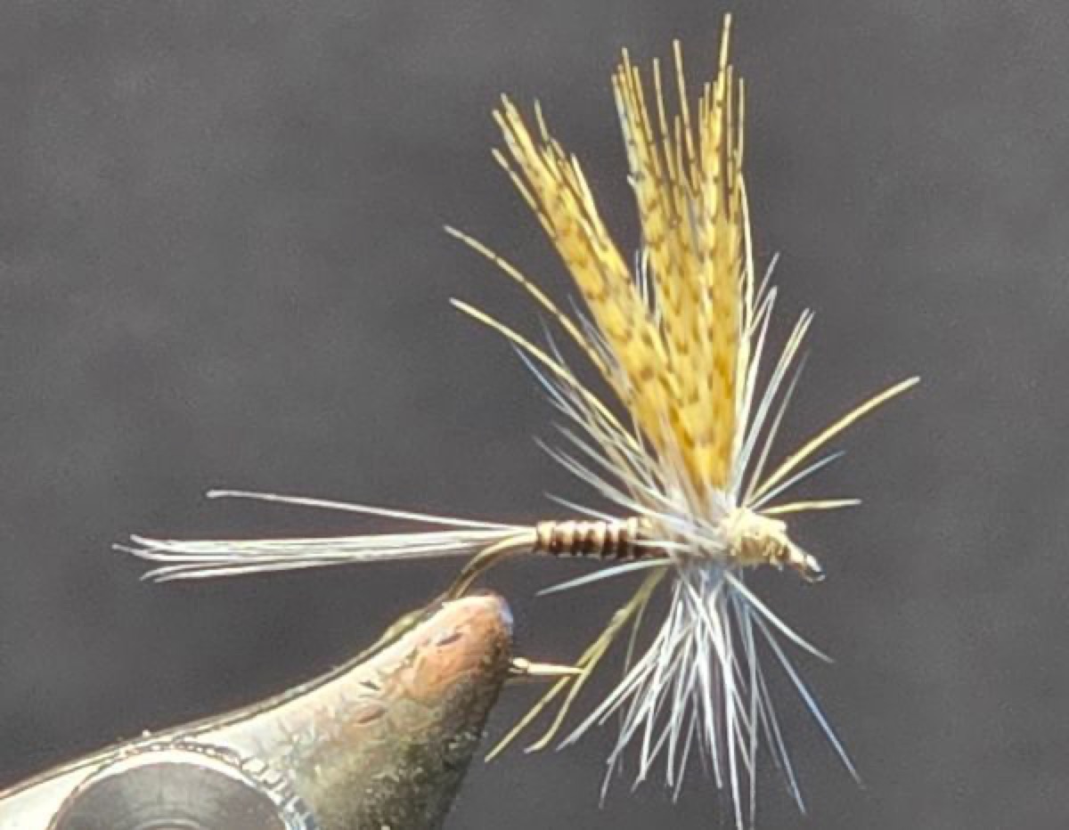 Quill Gordon Mayfly fly pattern tied by Darrell Olson
