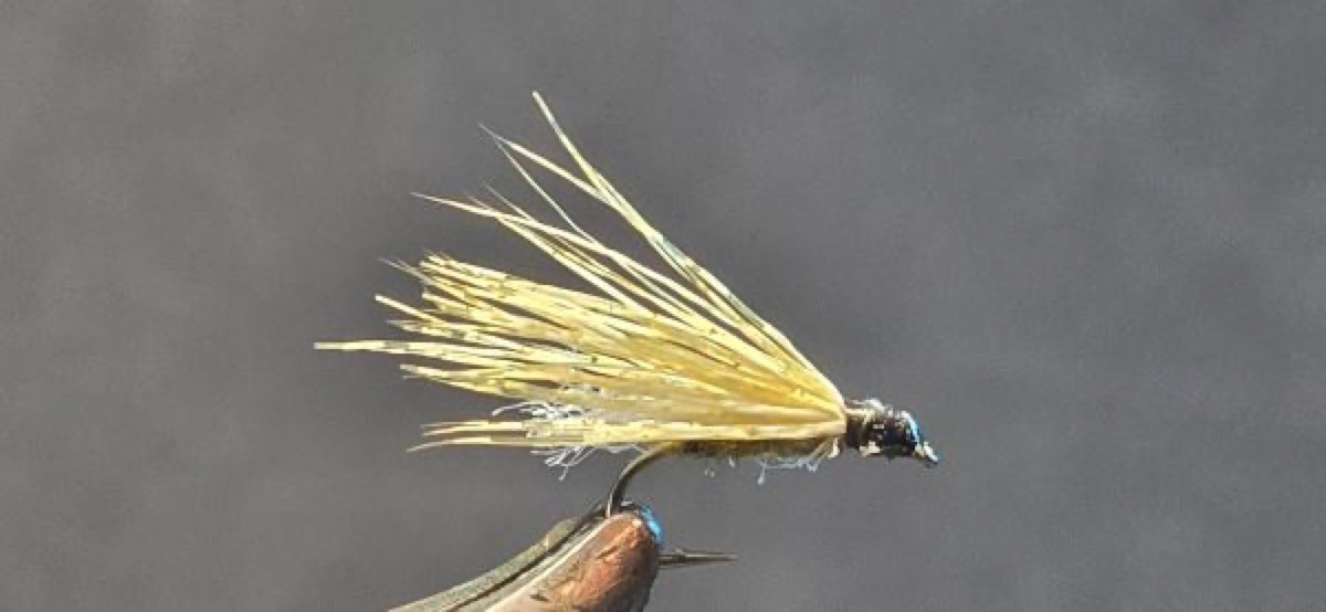 Grannom Caddis fly pattern tied by Darrell Olson