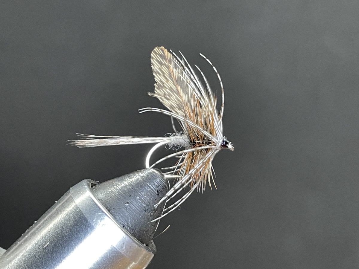 Dressed to Kill Adams fly pattern tied by Brent Jones