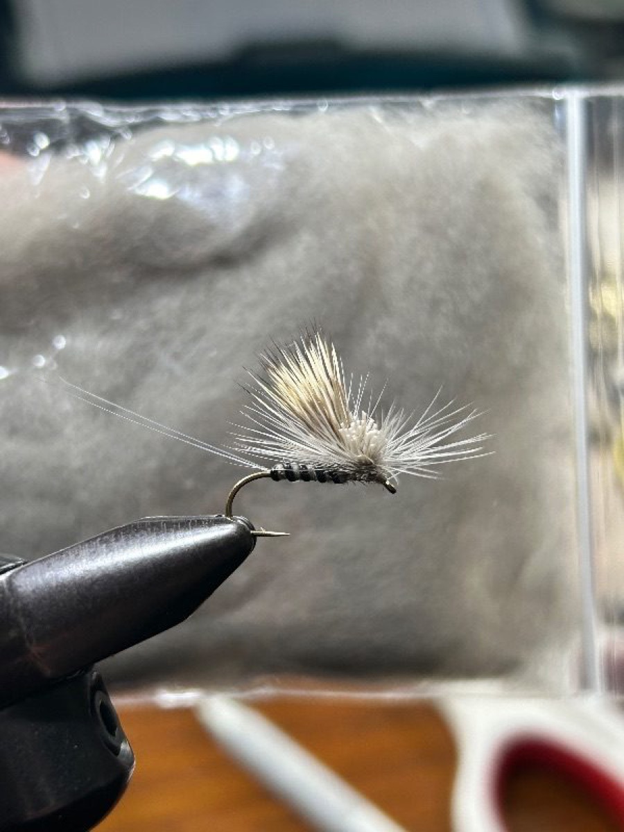Tilt wing drake (grey) fly pattern tied by Derek Huntoon