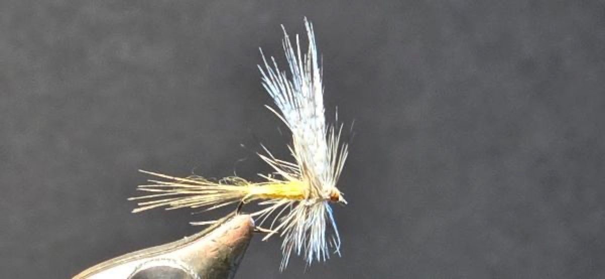 March Brown Mayfly fly pattern tied by Darrell Olson